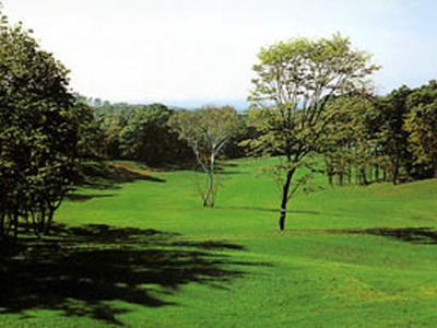 エムズゴルフクラブ