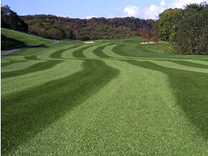 北海道ドリームカントリークラブ