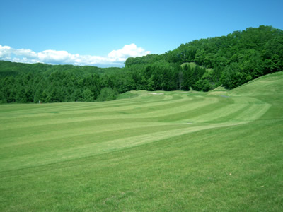 龍の舞ビッグスギゴルフ倶楽部(閉鎖)