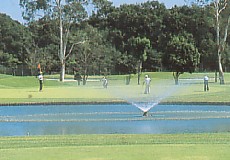 大麻生ゴルフ場