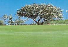 妻沼ゴルフ場（閉鎖）