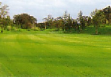 グレートアイランド倶楽部