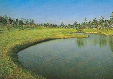 若洲ゴルフリンクス