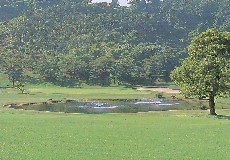 大相模カントリークラブ