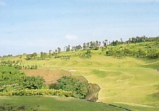 チェックメイトカントリークラブ