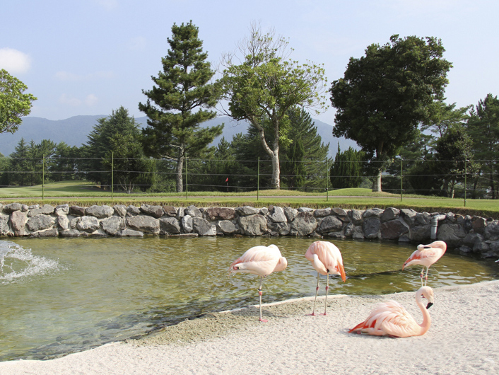 島ヶ原カントリークラブ