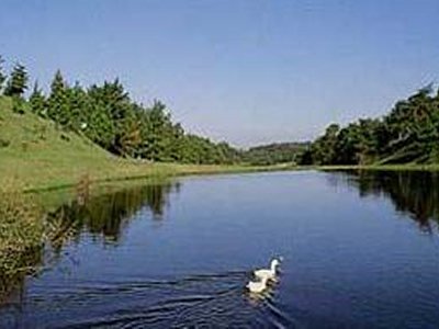 堺カントリークラブ