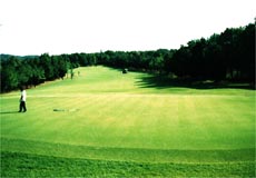 六甲国際パブリックコース