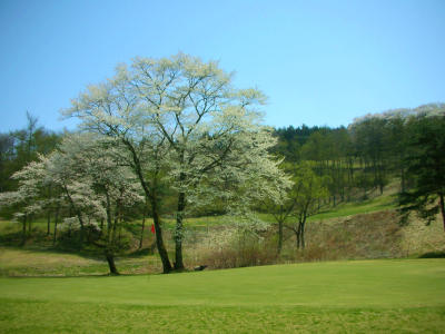 ルーデンスカントリークラブ　さくらコース(閉鎖)