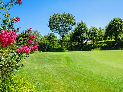 【レッスン】千葉バーディクラブ ジェフ山口（千葉）