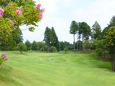 ダイナミックゴルフ成田