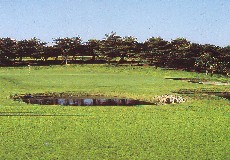 西の郷カントリークラブ（閉鎖）