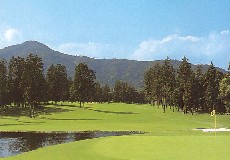 千代田カントリークラブ（茨城県）