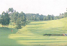 水戸グリーンカントリークラブ　照田コース（閉鎖）